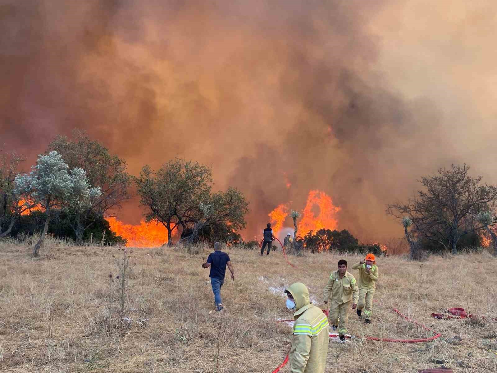 Aydın’da hafta sonu 11 yangın çıktı