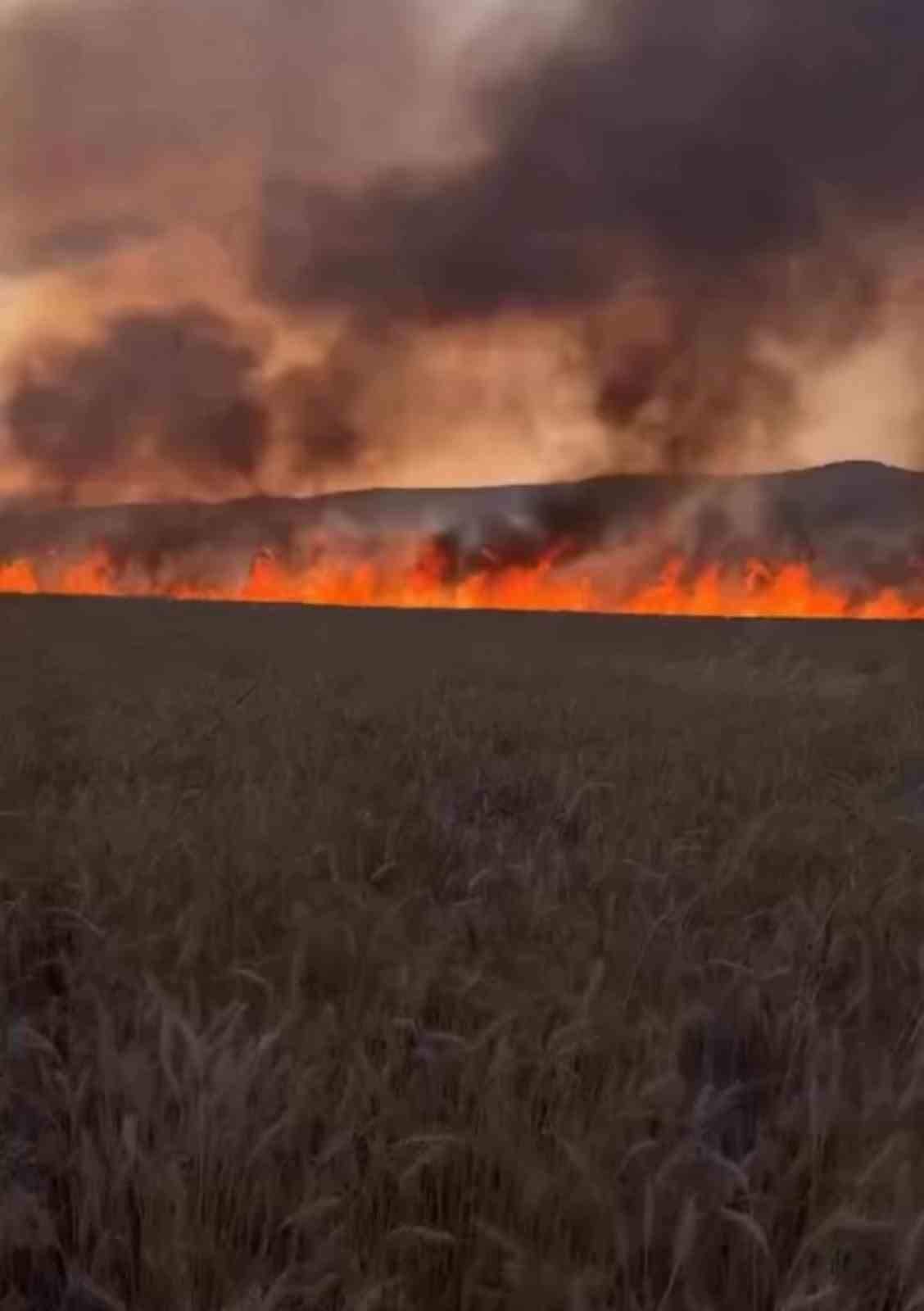 Diyarbakır’da buğday tarlasında anız yangını