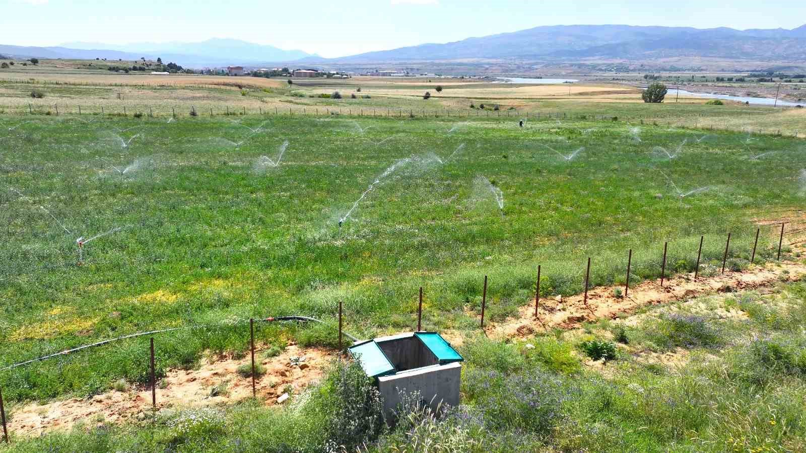 Bingöl’de 182 bin dekar alan sulanacak