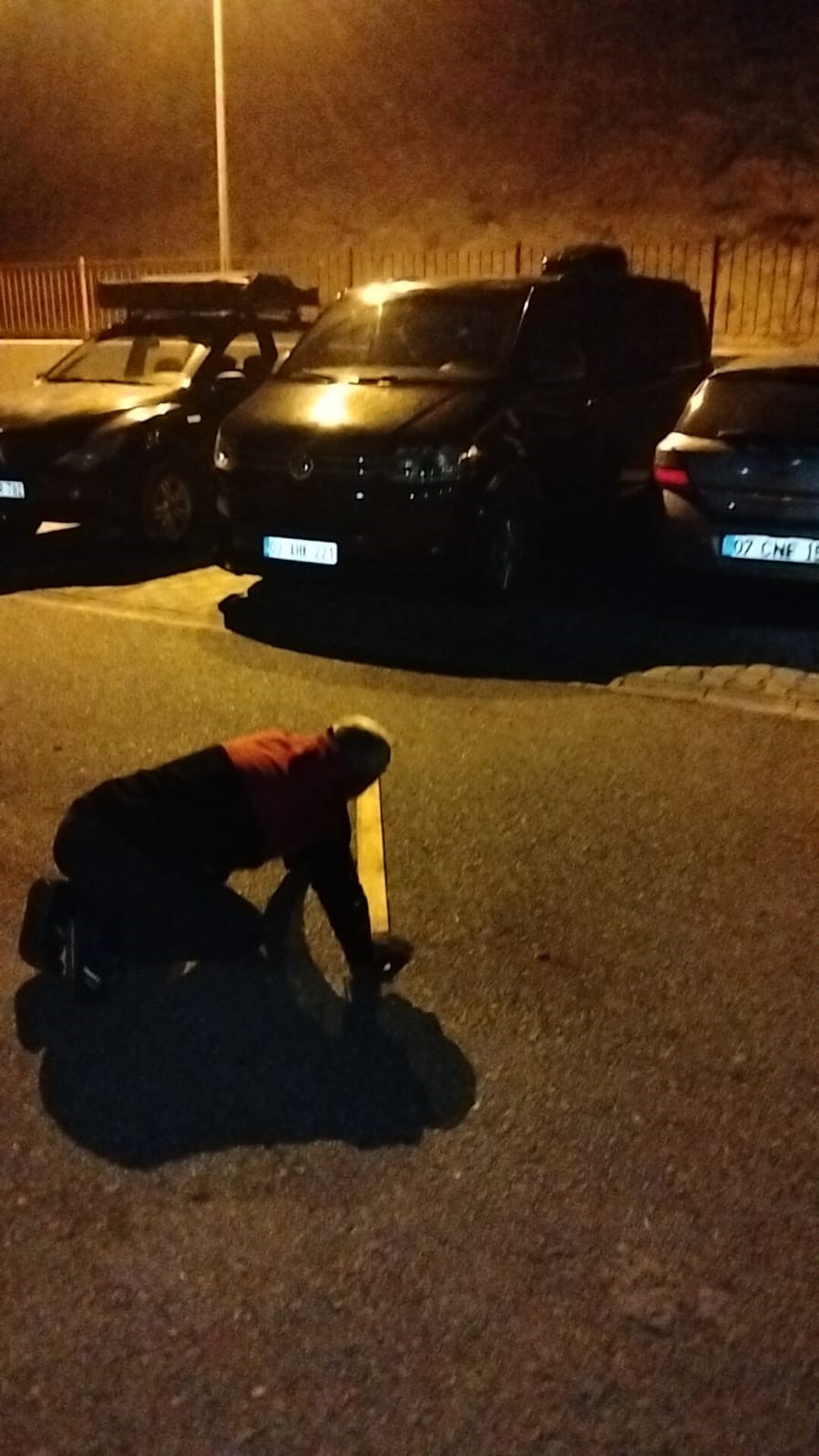 Araçların içerisine giren fareler vatandaşları alarma geçirdi