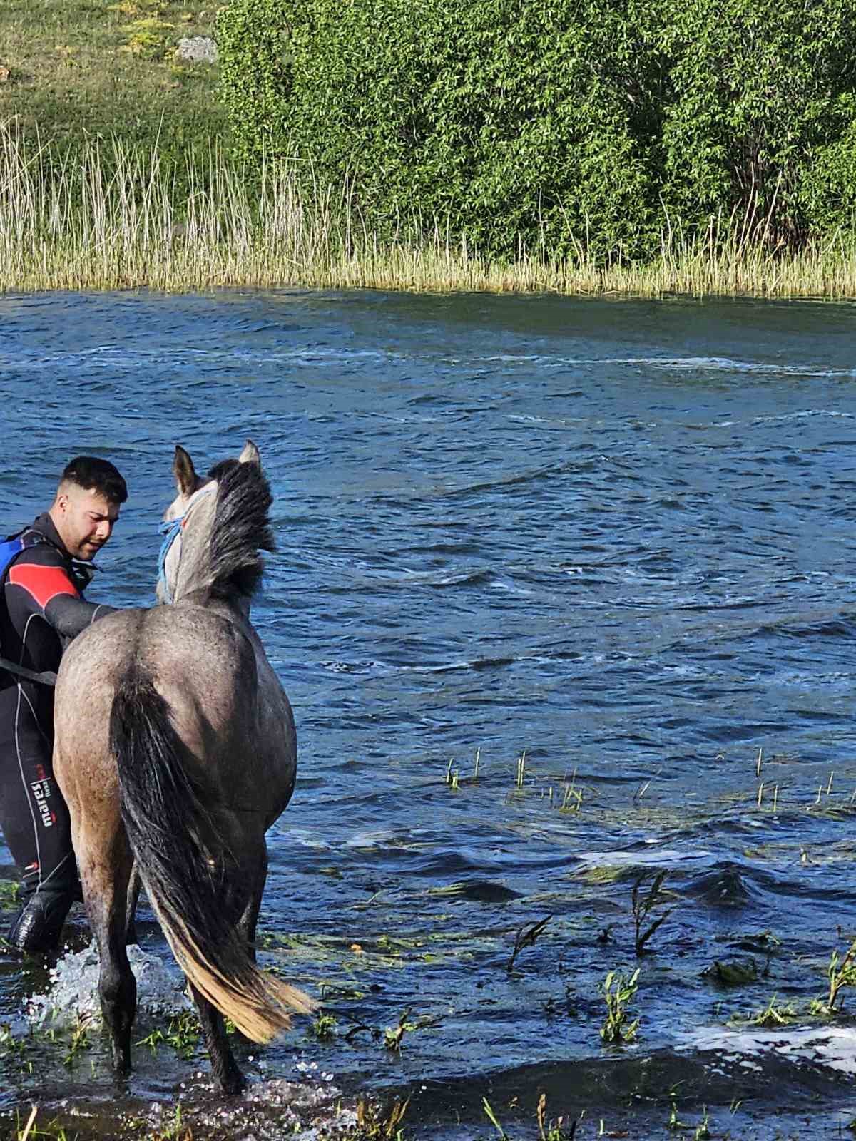 Ardahan’da mahsur kalan atı kurtarma operasyonu