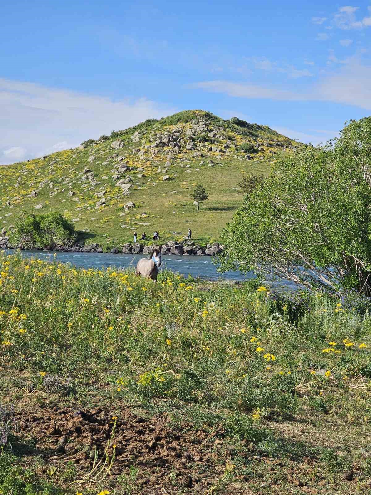Ardahan’da mahsur kalan atı kurtarma operasyonu