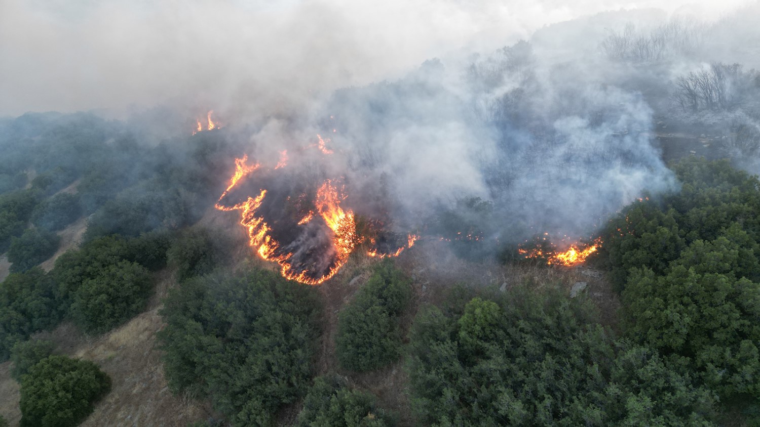 Kula’da makilik alanda çıkan yangın kontrol altına alındı