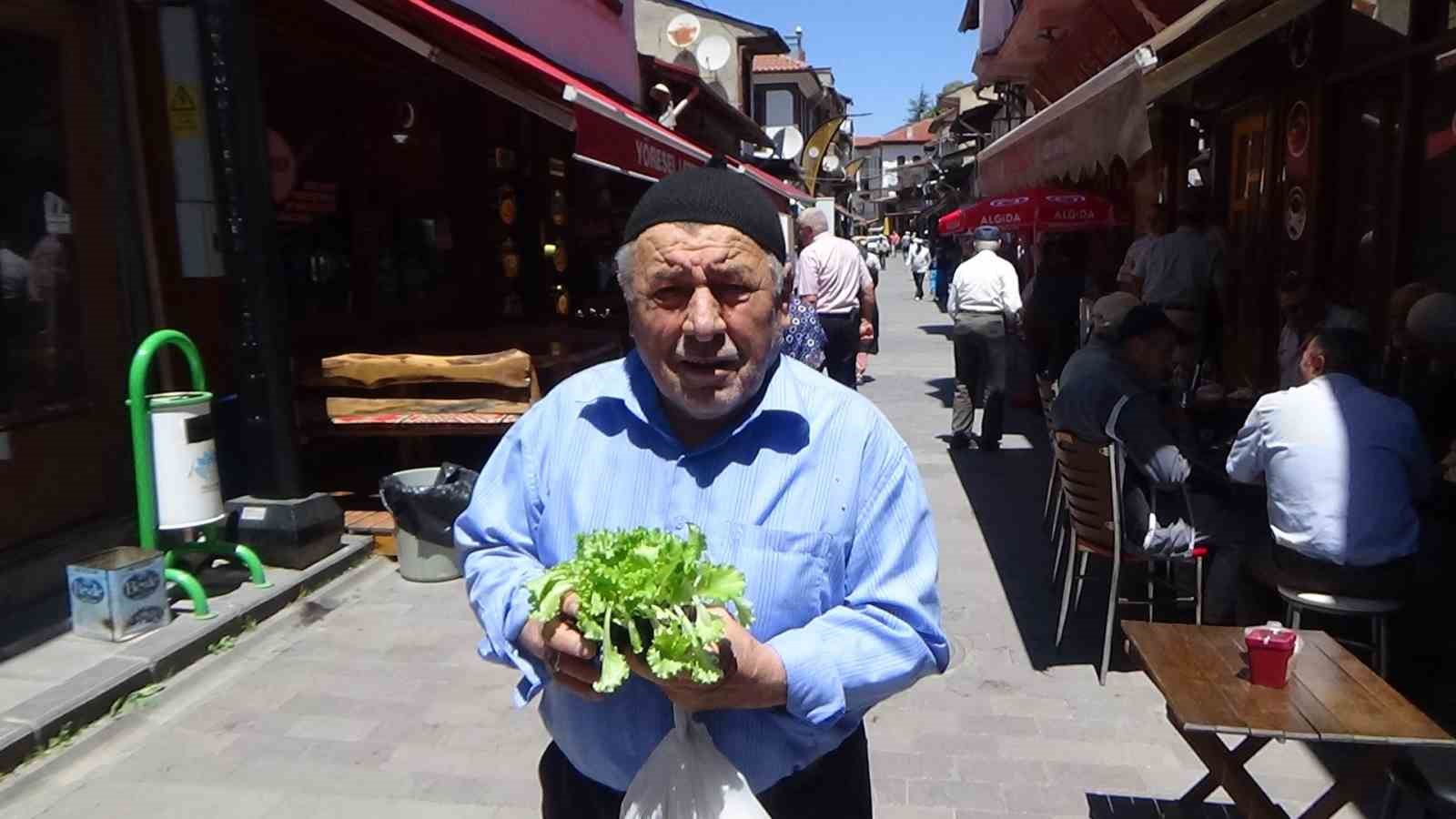 Çiftçilere 10 bin marul fidesi dağıtıldı
