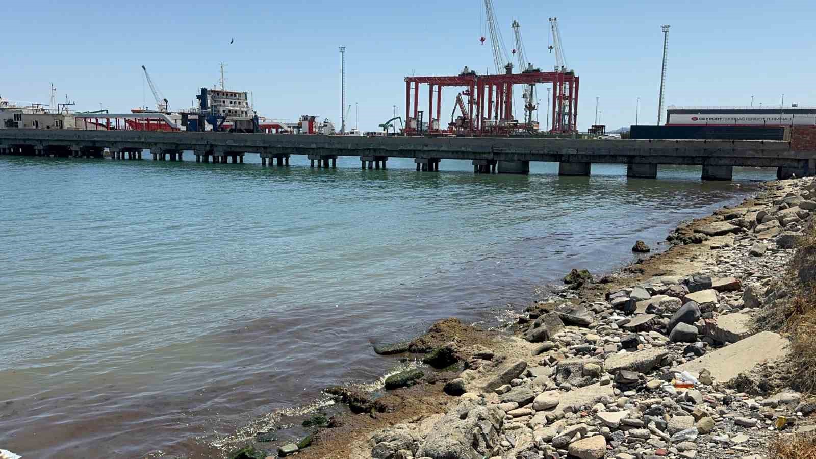 Tekirdağ Sahili’nde kırmızı yosun yoğunluğu dikkat çekti
