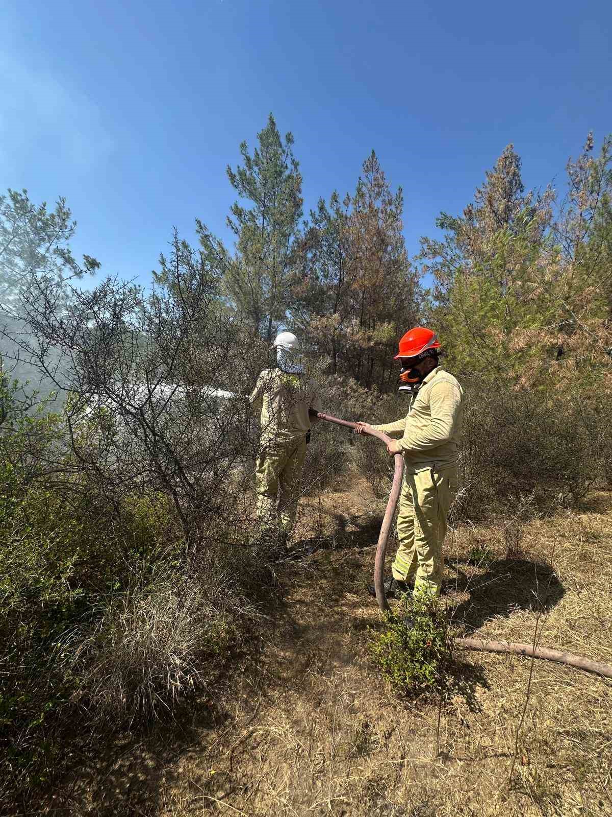 Adana’daki orman yangını kontrol altına alındı