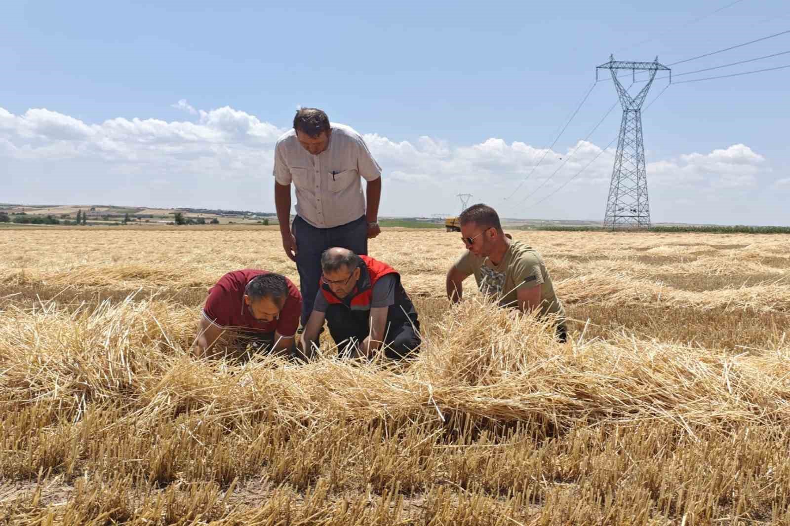 Uşak’ta tarım ekiplerinden biçerdöverlere sıkı denetim