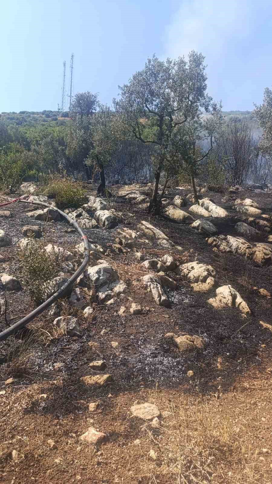 Orhangazi&rsquo;deki yangına havadan ve karadan m&uuml;dahale ediliyor
