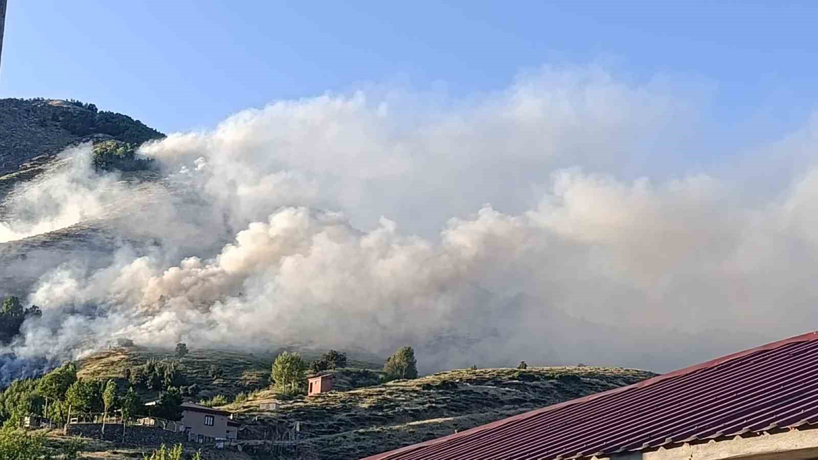 Bingöl’de ağaçlık alanda yangın