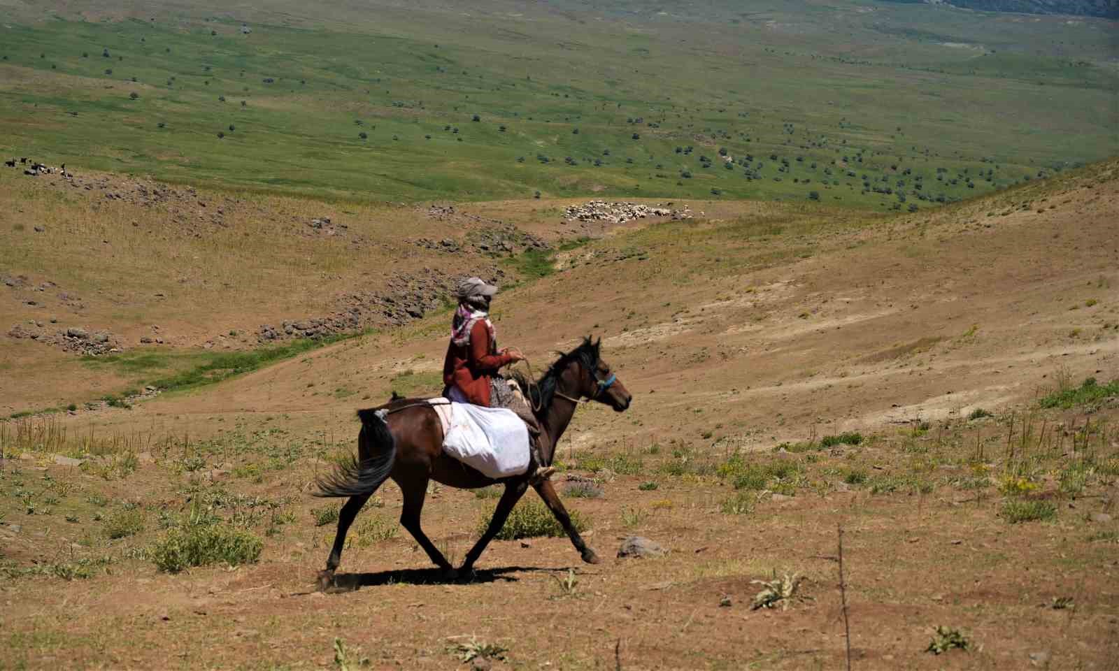 Muş&rsquo;ta koyunları sağmak i&ccedil;in at sırtında 8 kilometre yol kat ediyorlar
