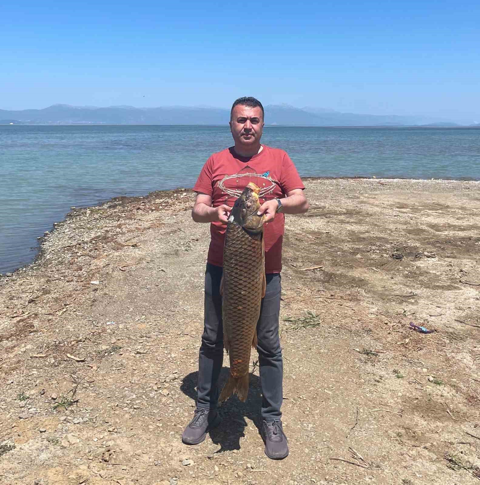 Beyşehir G&ouml;l&uuml;nde ağlara vuran 17 kiloluk sazan balığı şaşırttı
