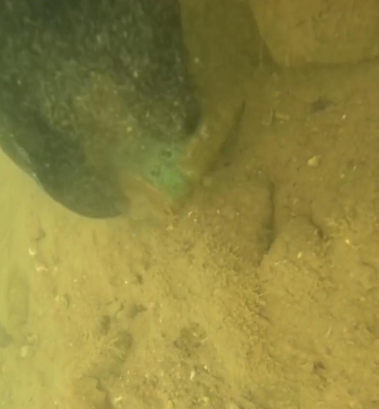 Dicle Baraj G&ouml;l&uuml;&rsquo;n&uuml;n altında temizlik &ccedil;alışması yapıldı
