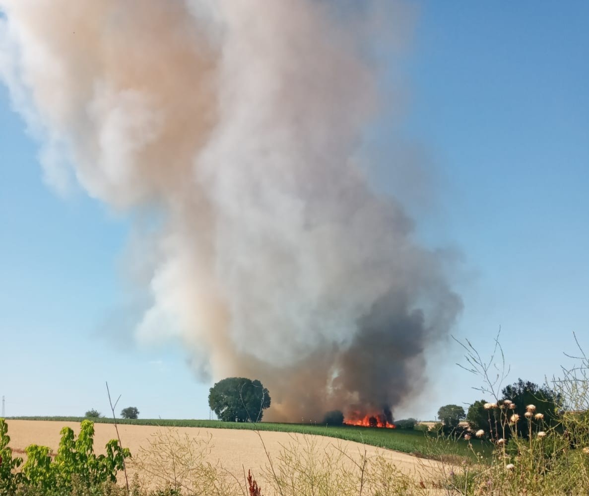 Malkara’da buğday tarlasında yangın: 20 dönüm kül oldu