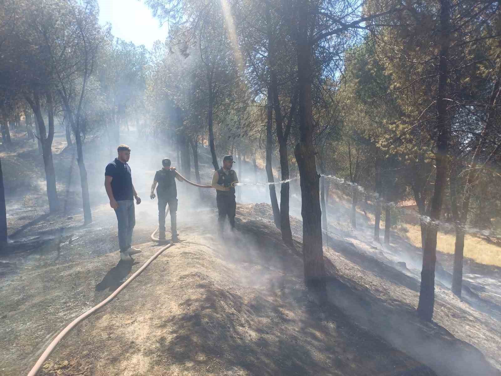 Manisa’daki yangın hızlı müdahale ile söndürüldü