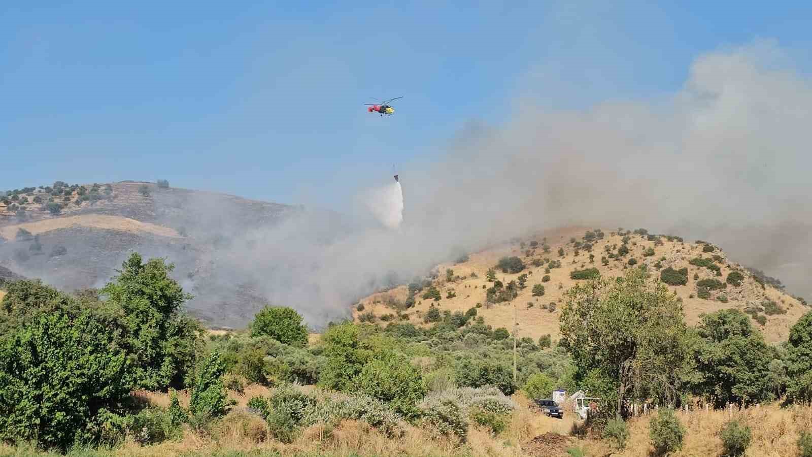 Nazilli’deki zirai alan yangını kontrol altına alındı