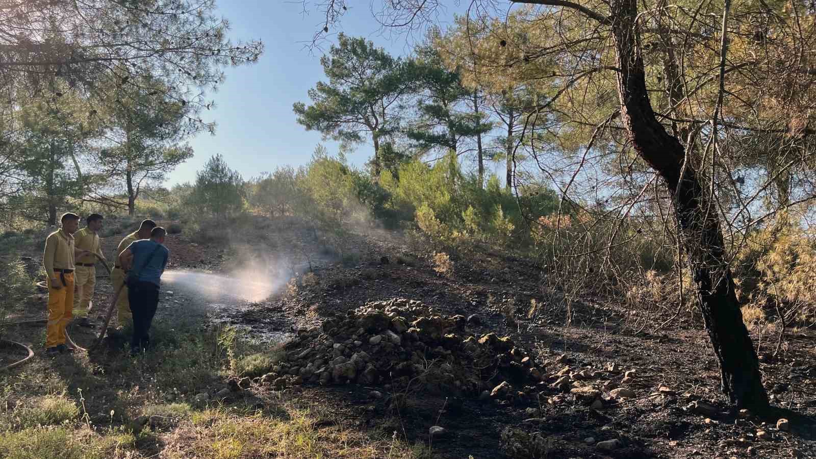 Menteşe yangını büyümeden söndürüldü