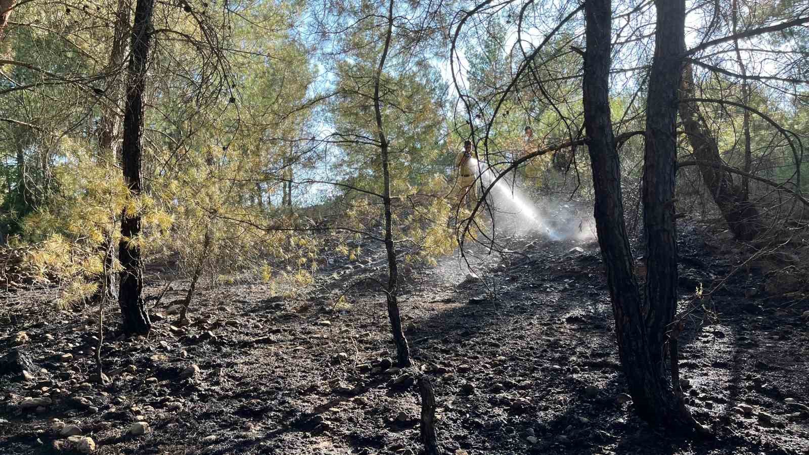 Menteşe yangını b&uuml;y&uuml;meden s&ouml;nd&uuml;r&uuml;ld&uuml;

