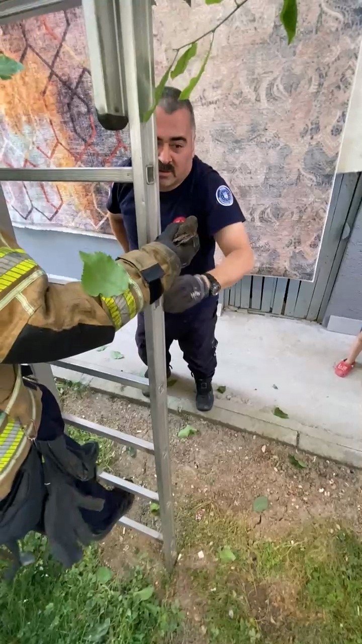 &Ccedil;atıya sıkışan kuş itfaiye tarafından kurtarıldı
