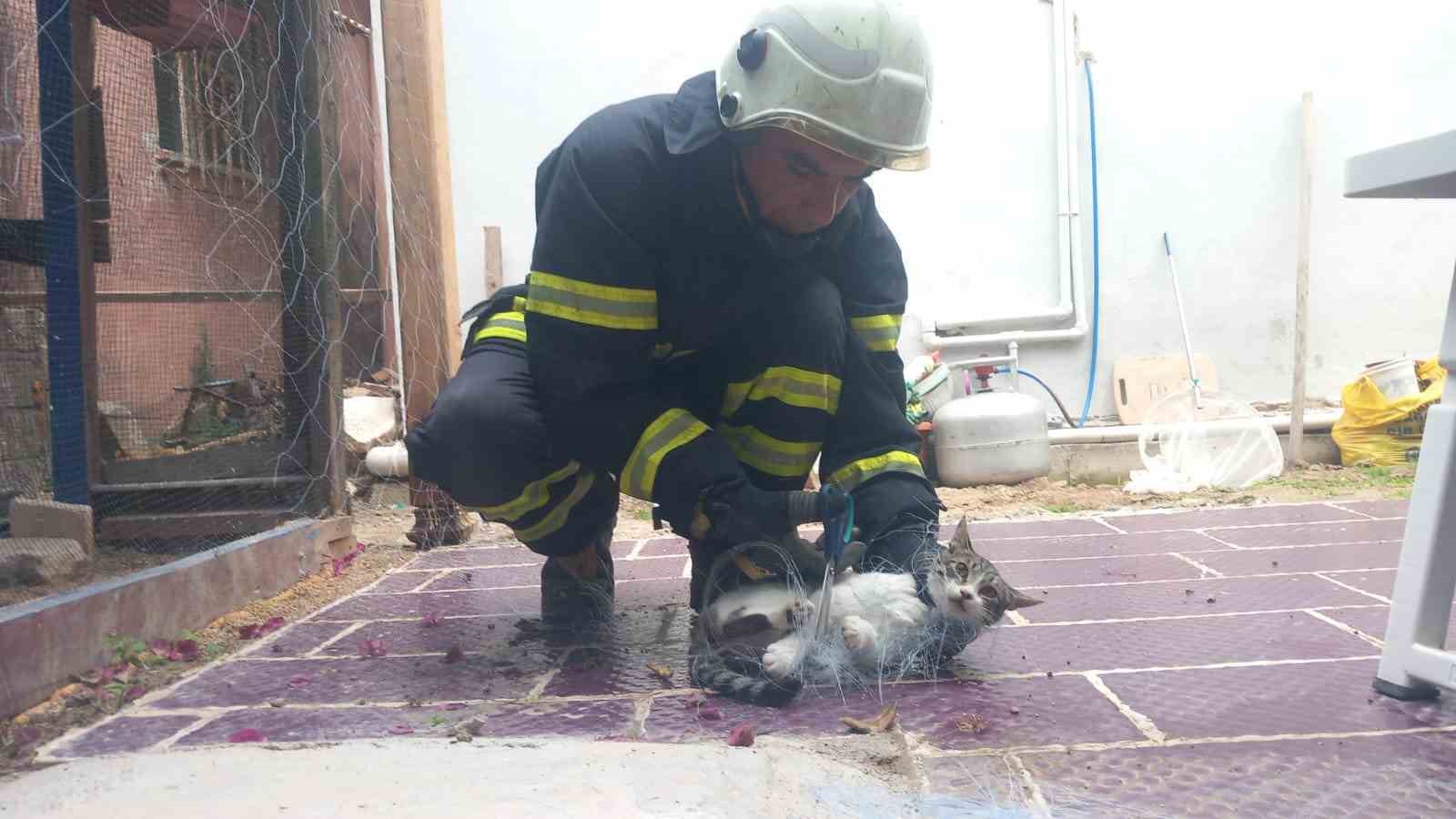 Balık ağına takılan kediyi itfaiye kurtardı