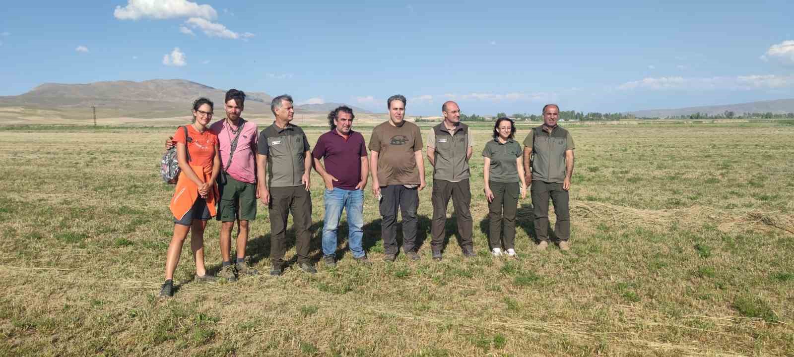 Tedavisi tamamlanan toy kuşu doğaya salındı
