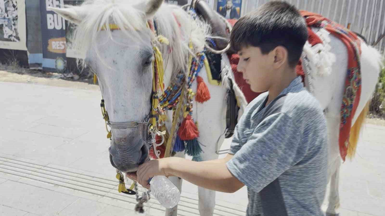 Diyarbakır’da kavurucu sıcaklardan dolayı tarihi mekanlar boş kaldı