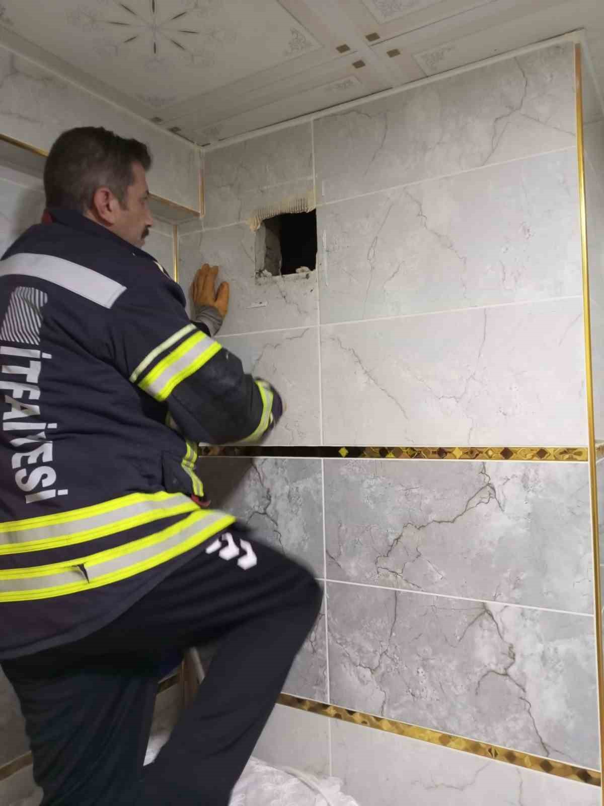 Karga yavrusuna uzanan şefkat eli
