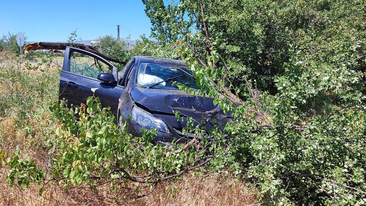 Erzincan-Kemah karayolunda kaza