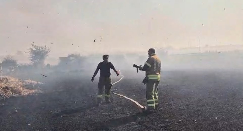 Buğday tarlasında yangın