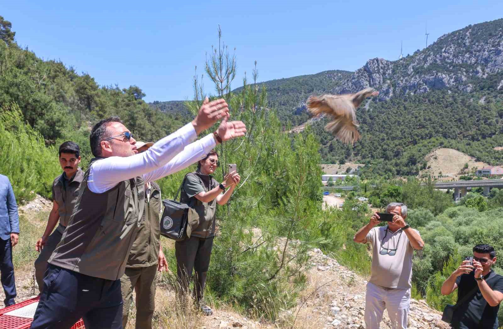 300 kınalı keklik doğaya salındı
