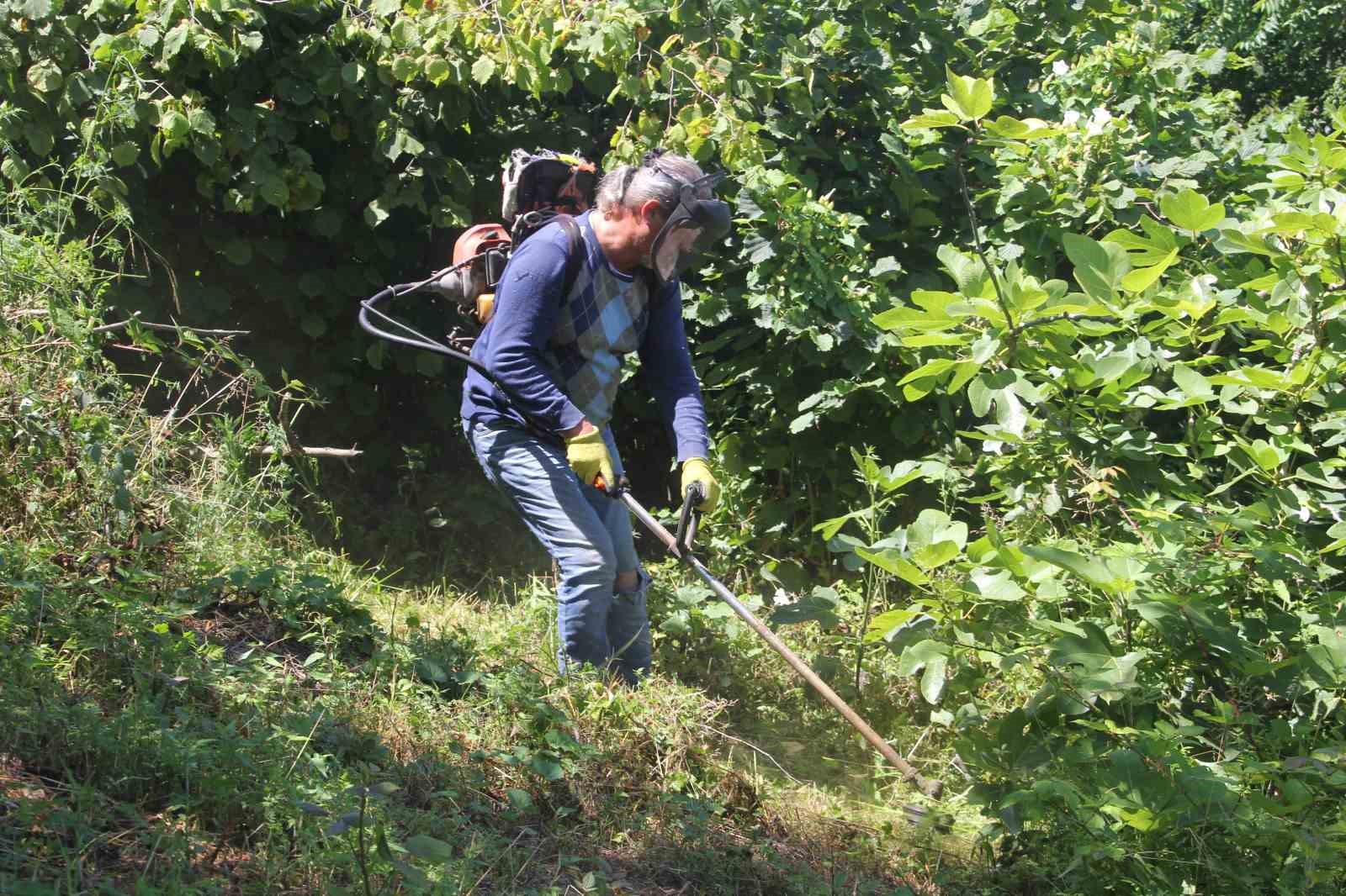 Fındık bahçelerinde ’yüksek verim’ için temizlik çalışmaları başladı