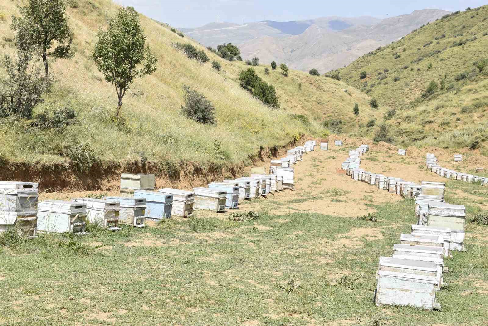 Kuraklık Bitlisli arıcıları kara kara düşündürüyor
