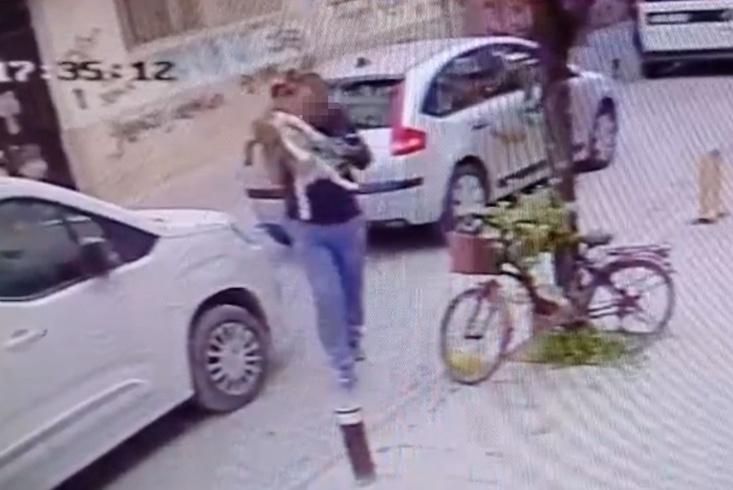 Köpeği, çişini yaptırmak için indirip yere fırlattı