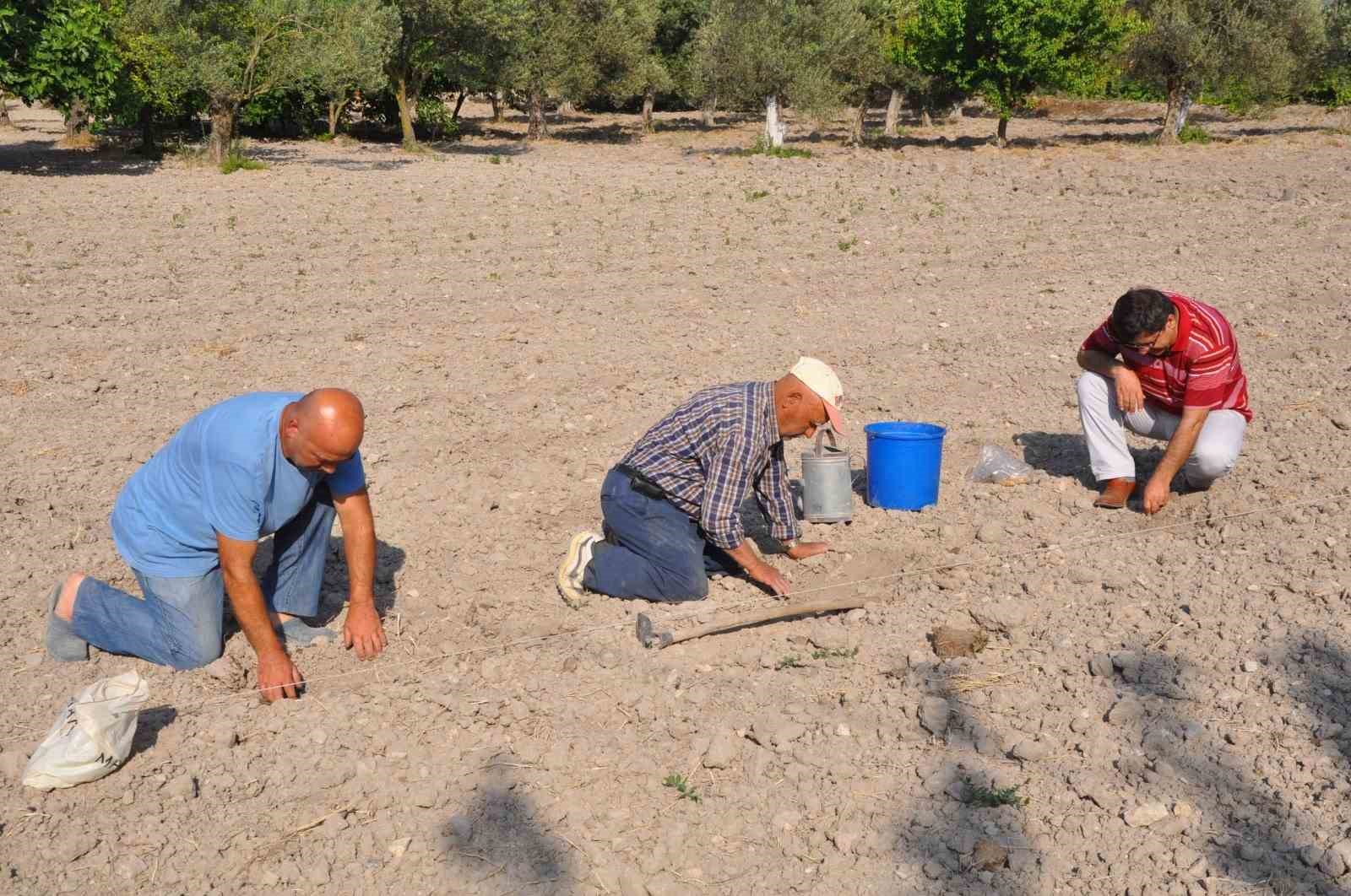 Kırkağaç Kavunu’nda tohumlar toprakla buluştu