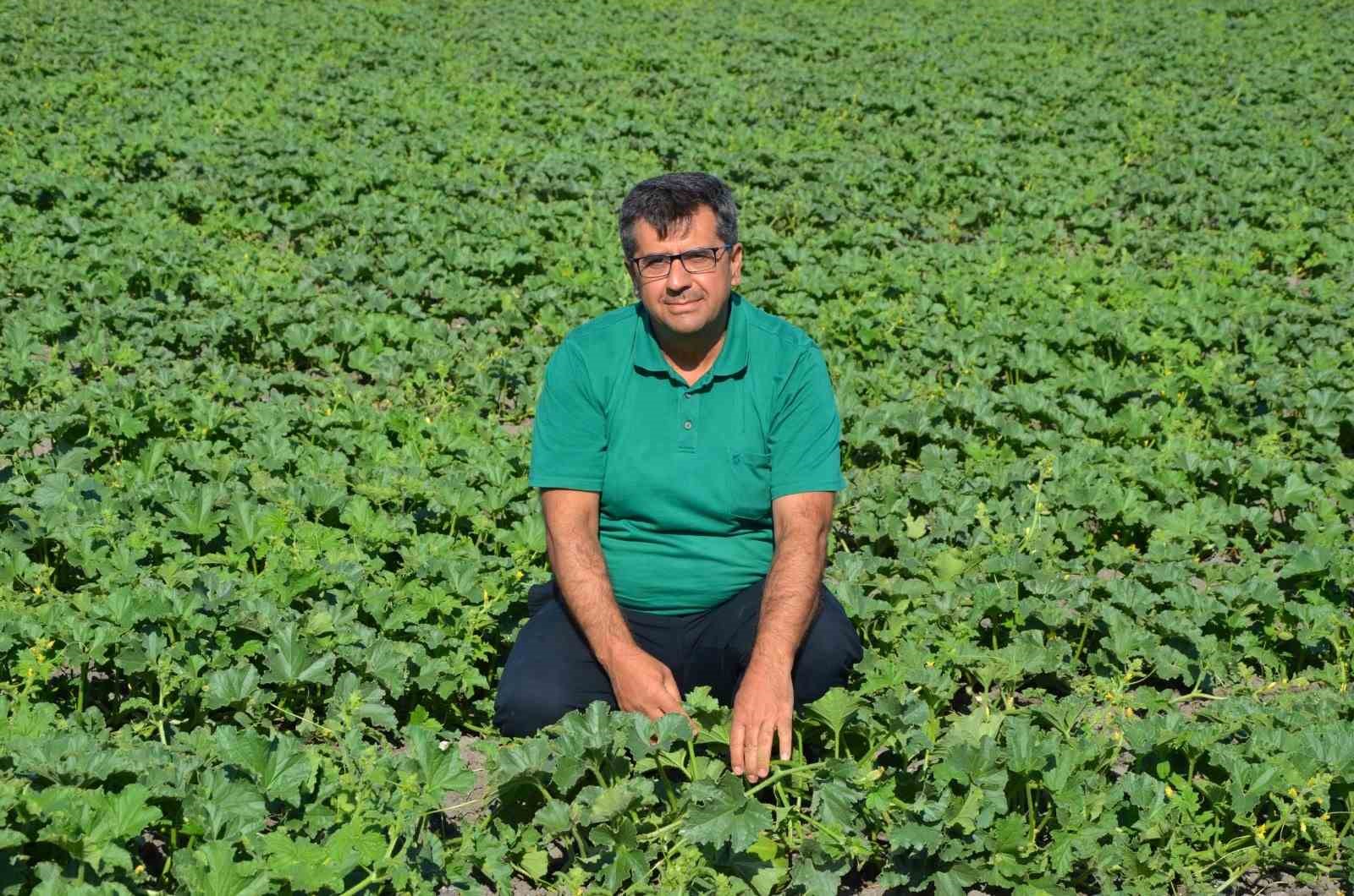 Kırkağa&ccedil; Kavunu&rsquo;nda tohumlar toprakla buluştu
