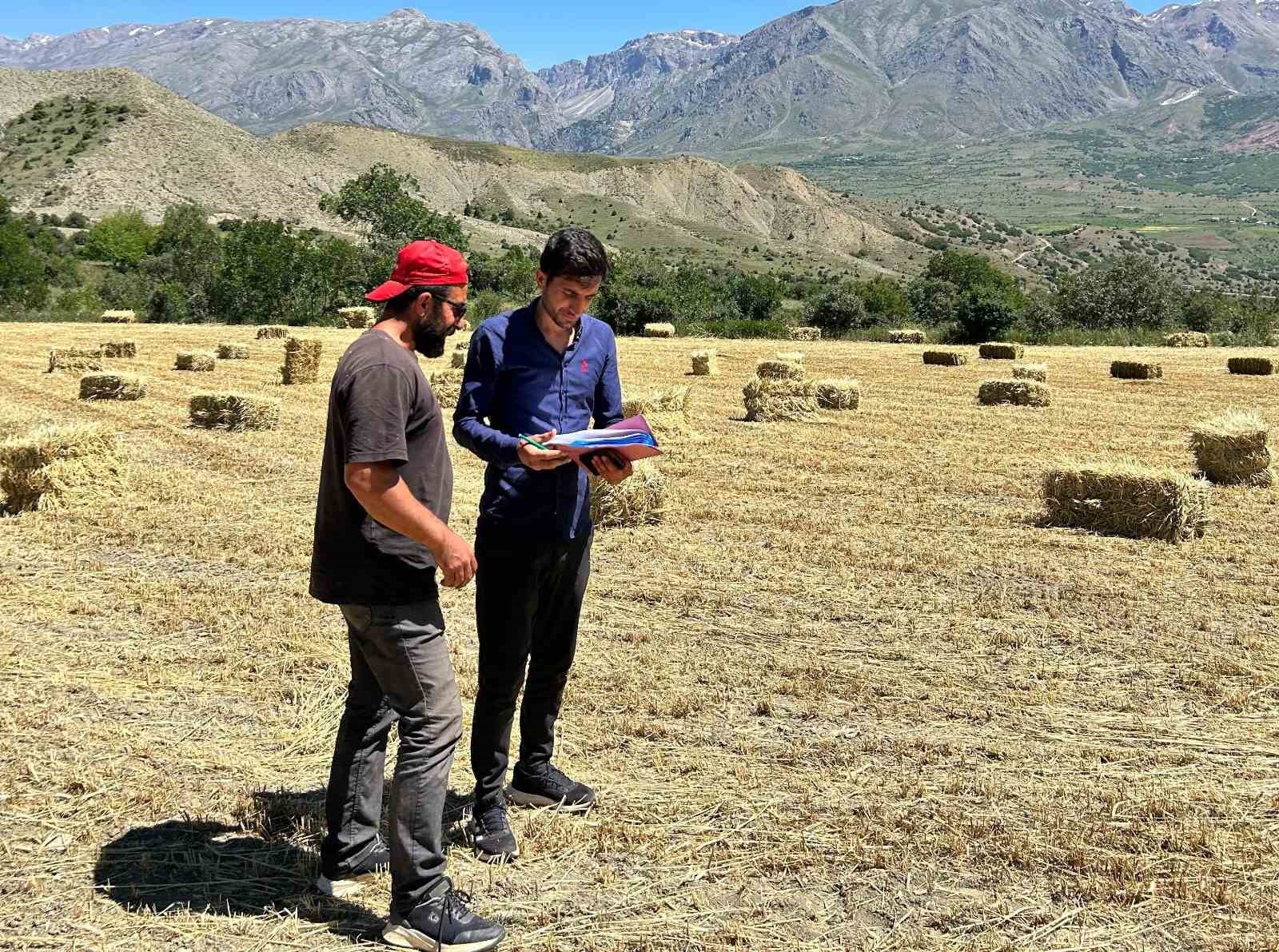 Erzincan genelinde yem bitkisi kontrolleri başladı