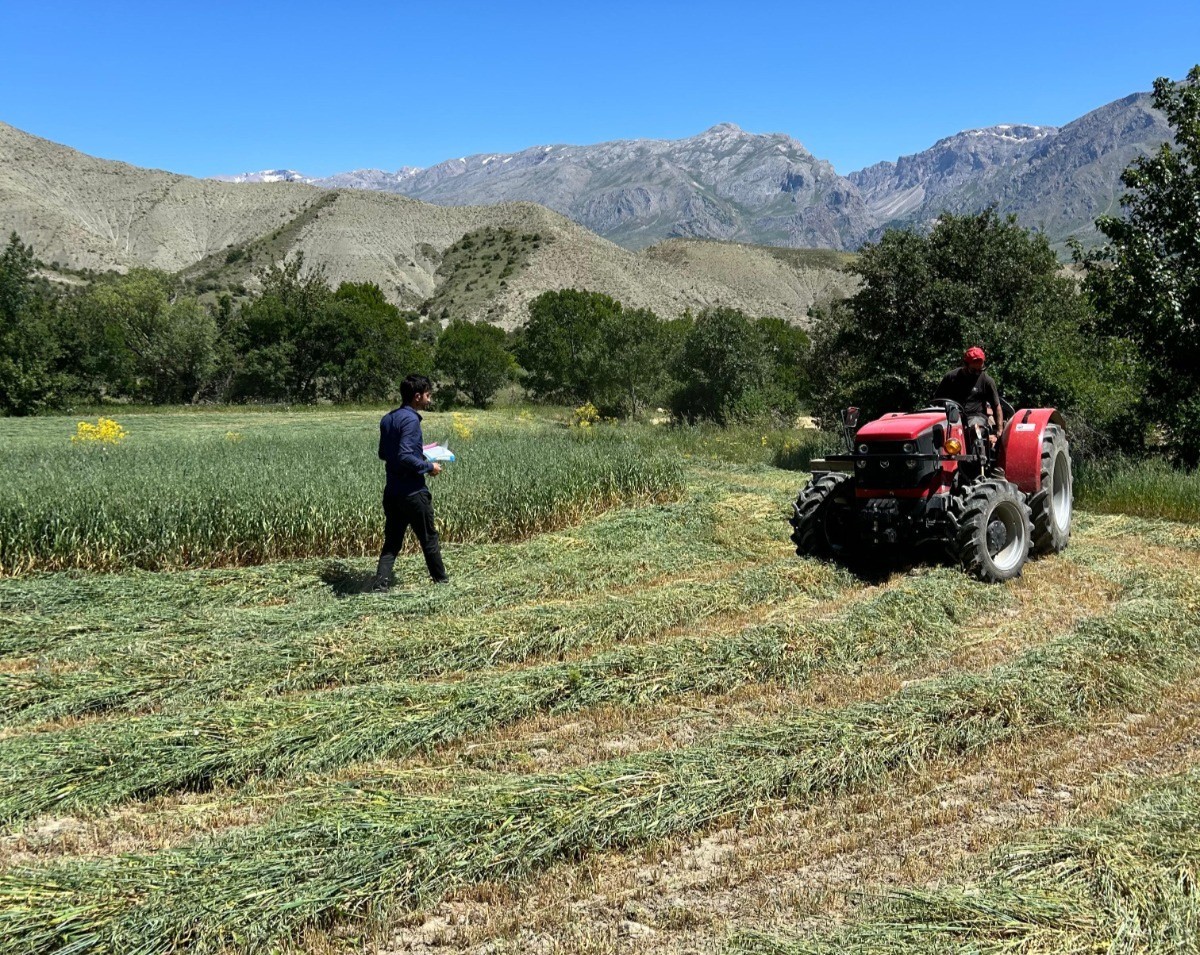 Erzincan genelinde yem bitkisi kontrolleri başladı
