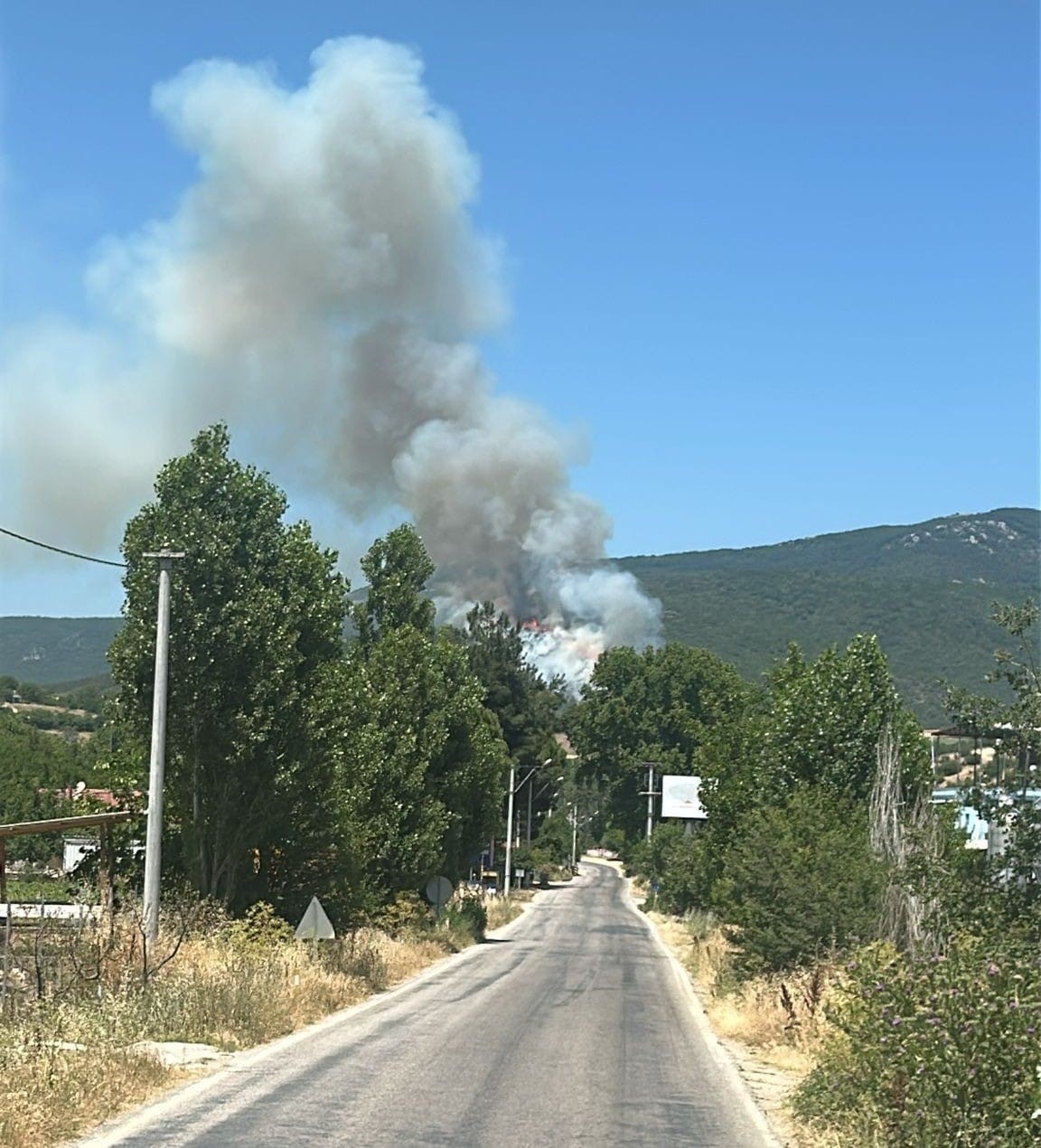 Yenişehirde orman yangını: Havadan ve karadan m&uuml;dahale ediliyor
