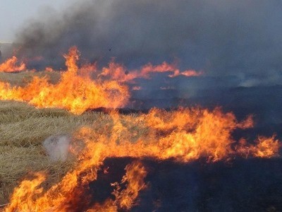 Alaca itfaiyesinden tarla yangınları i&ccedil;in uyarı
