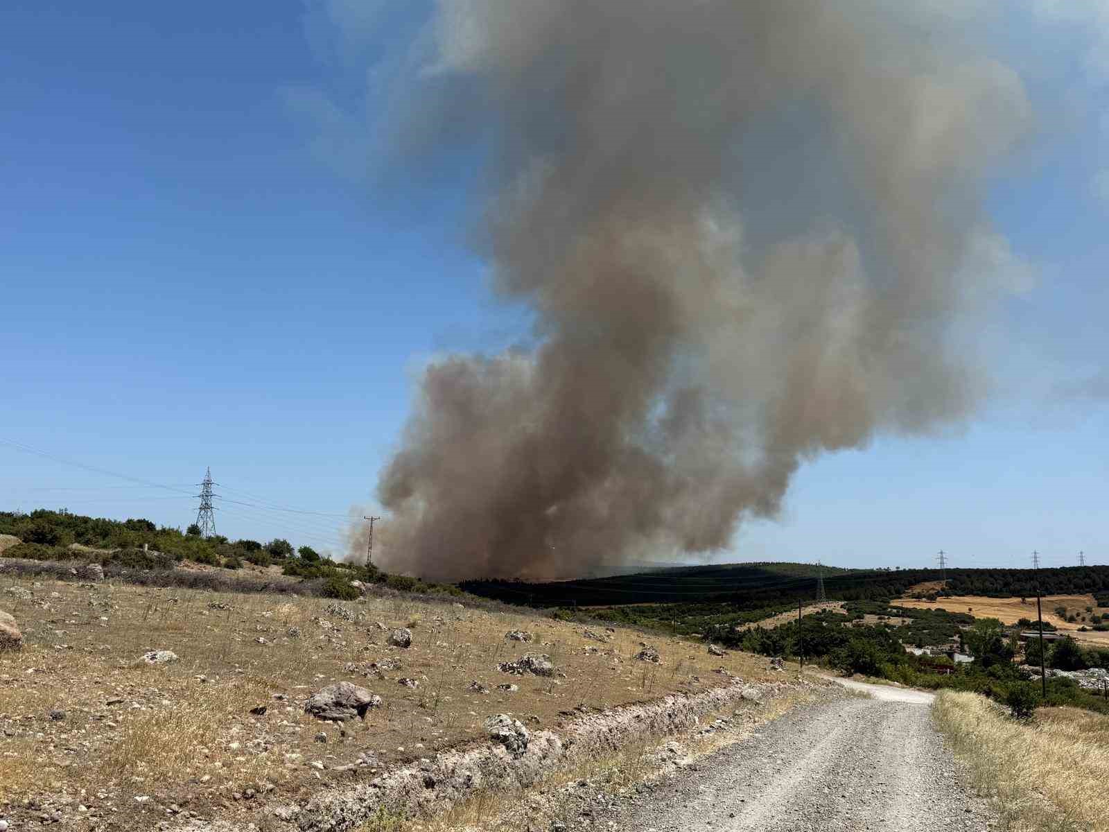 Ezine’de tarım arazisinde başlayan yangın ormanlık alana sıçradı