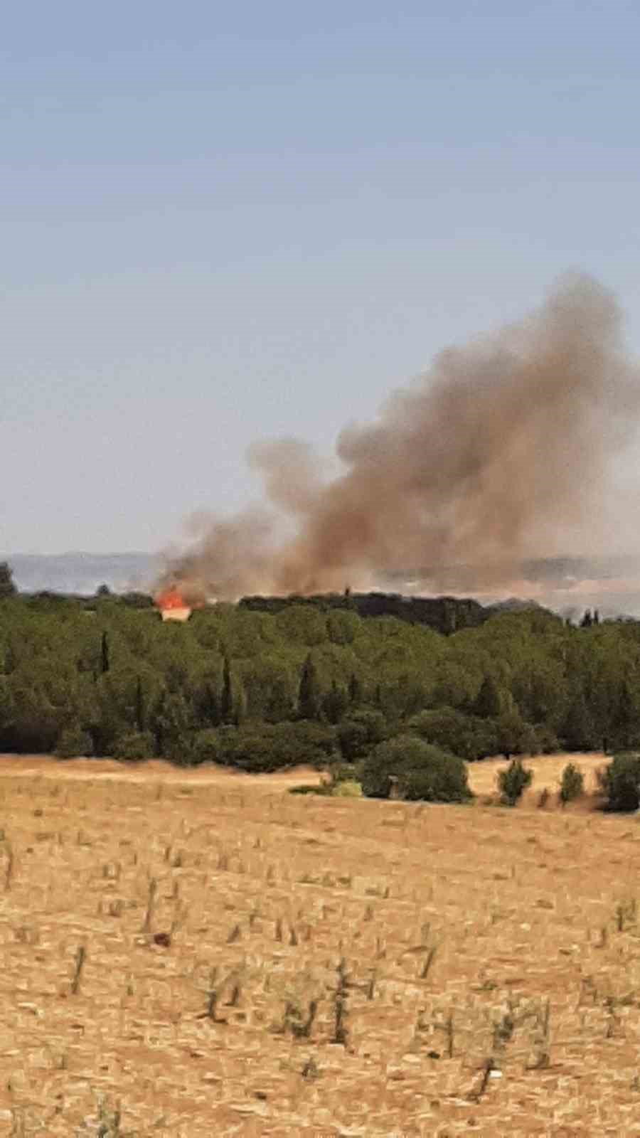 Ezine&rsquo;de tarım arazisinde başlayan yangın ormanlık alana sı&ccedil;radı
