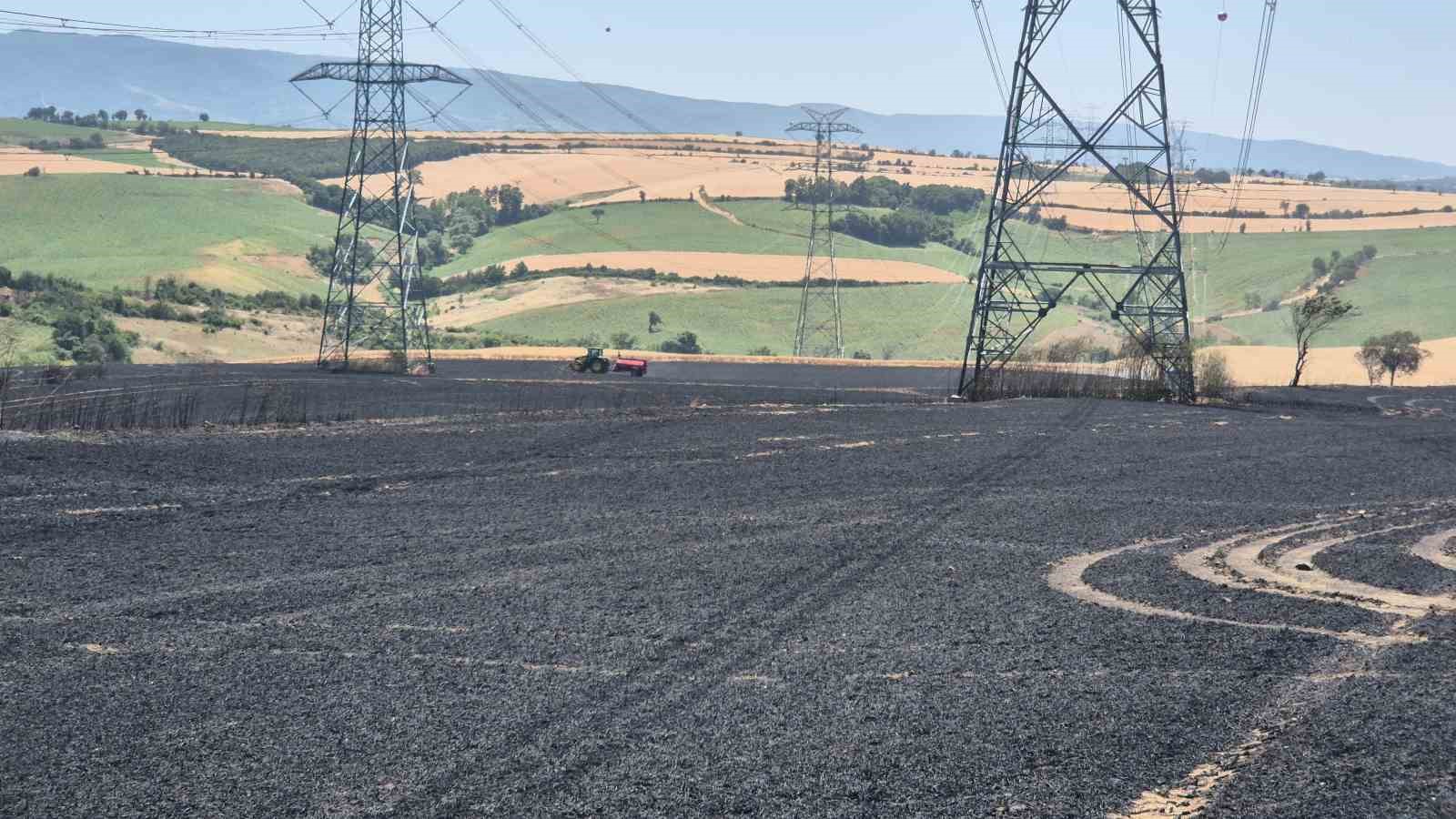 Tekirdağ&rsquo;da buğday tarlasında &ccedil;ıkan yangında 250 d&ouml;n&uuml;m k&uuml;l oldu
