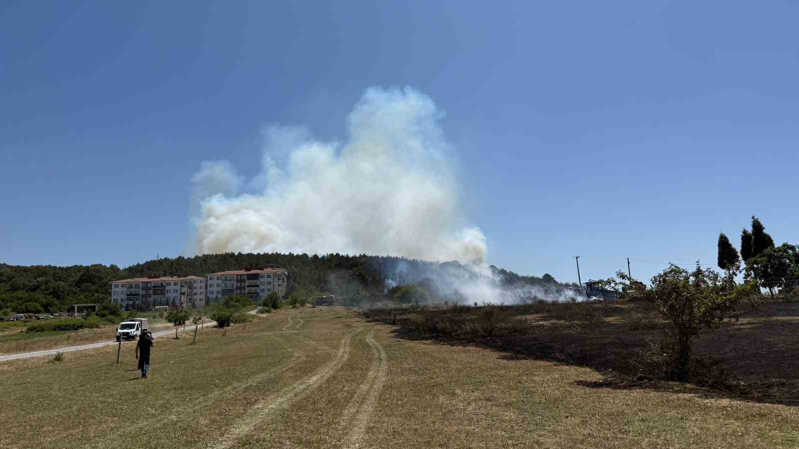Sakarya’da depoda çıkan yangın ormana sirayet etti