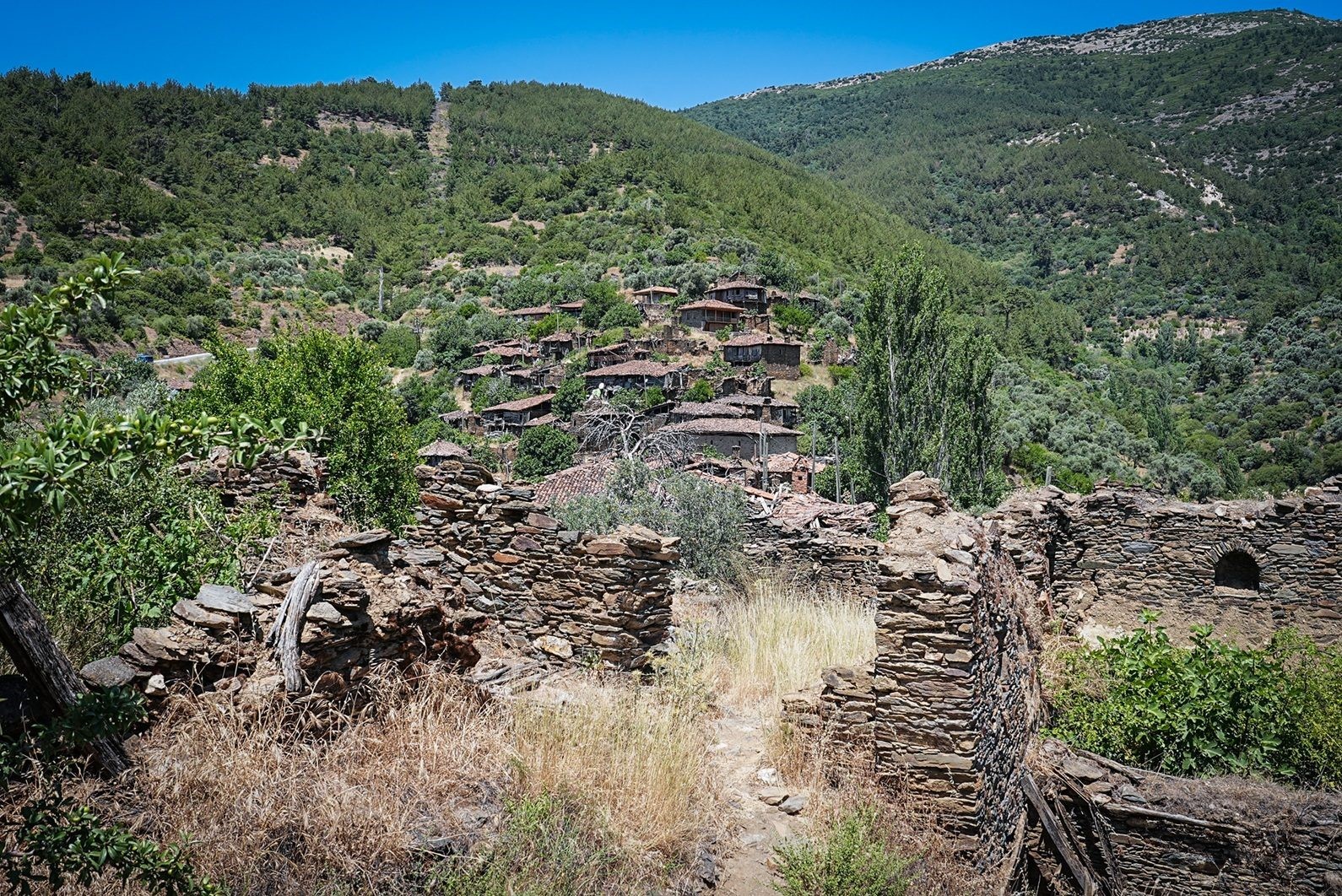 Lezzet tutkunları, Efeler Yolu Gastronomi G&uuml;nleri&rsquo;nde buluştu
