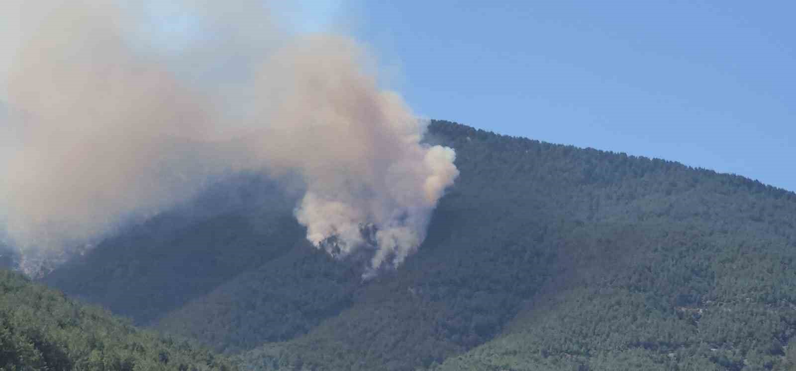 Hatay’da orman yangını
