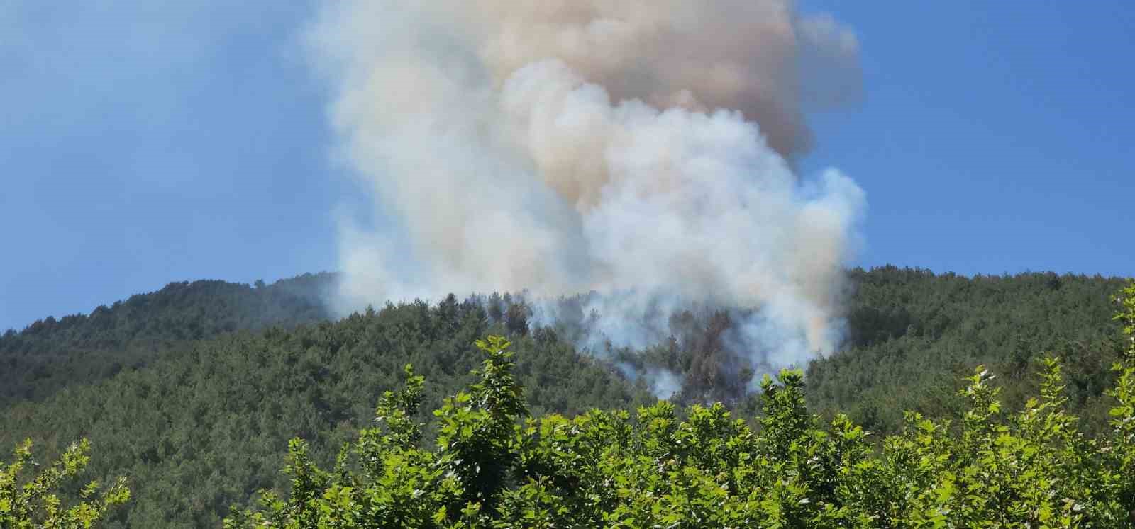 Hatay&rsquo;da orman yangını

