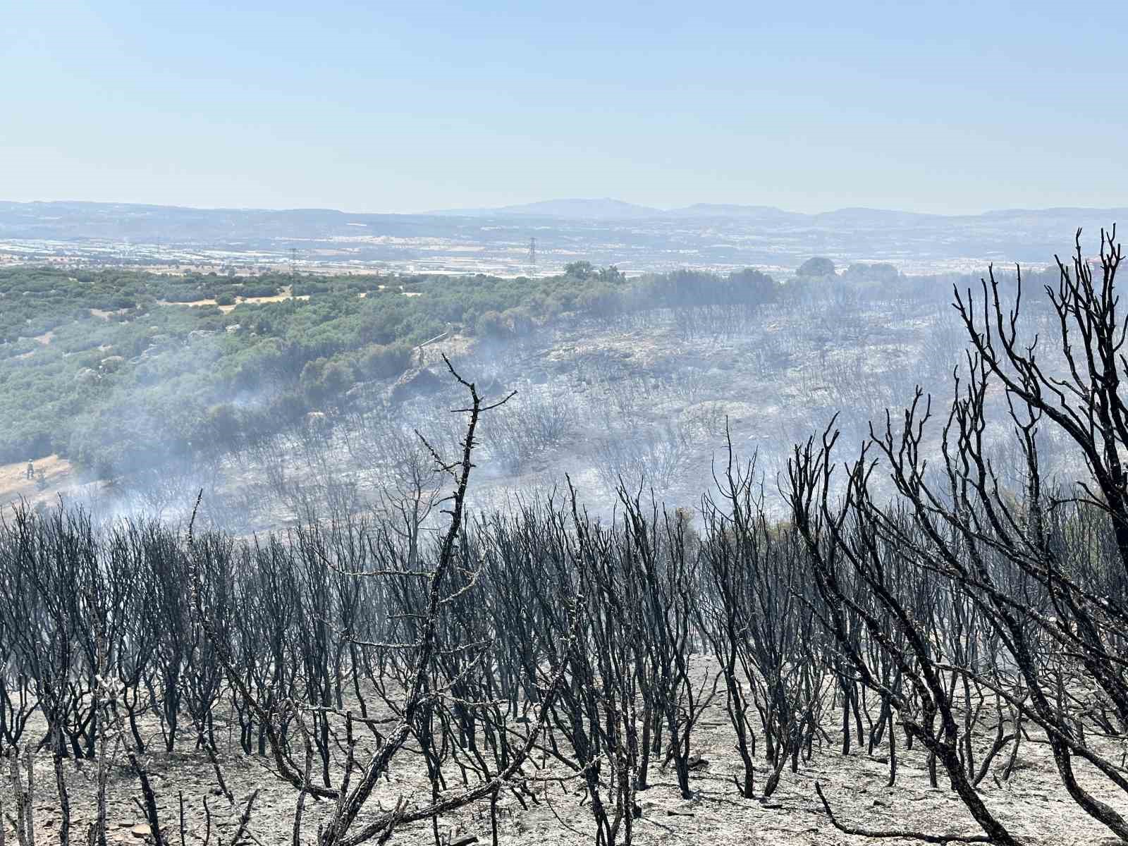 Uşak’ta tarım arazisinde çıkan yangın makilik alama sıçradı