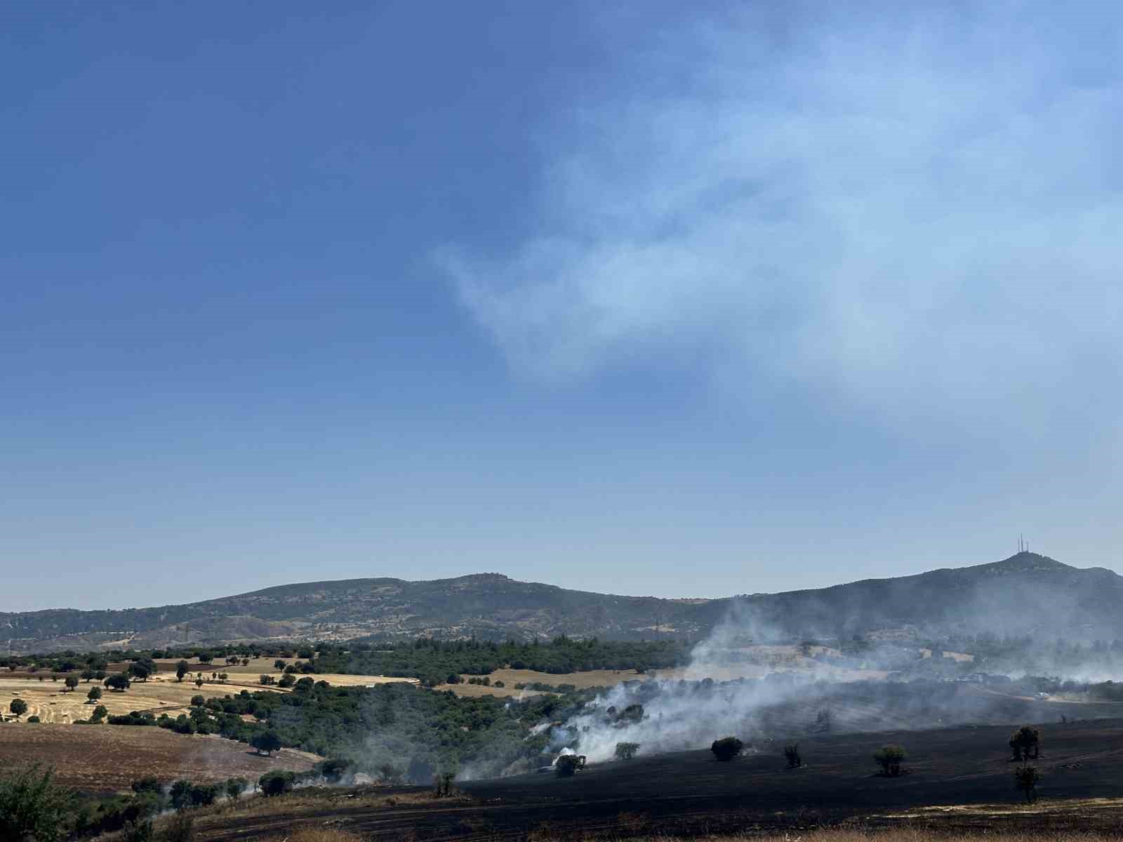 Uşak&rsquo;ta tarım arazisinde &ccedil;ıkan yangın makilik alama sı&ccedil;radı
