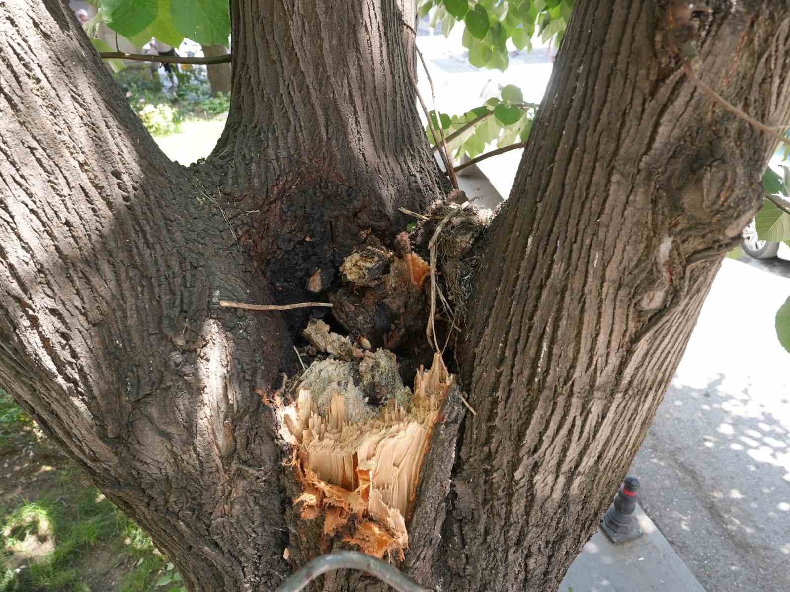 Tehlike ortadan kaldırıldı
