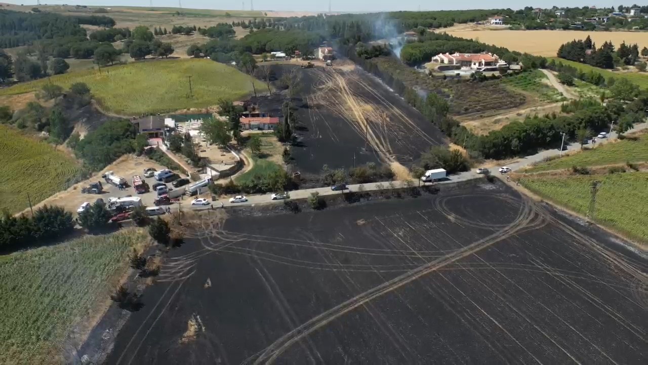 Tekirdağ&rsquo;da &ccedil;ıkan yangın 2 eve sı&ccedil;radı, 100 d&ouml;n&uuml;m alan k&uuml;l oldu
