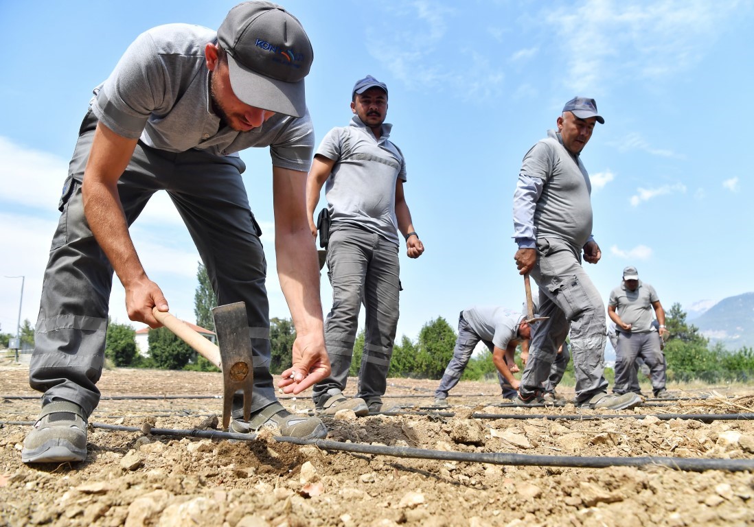 &Ccedil;andır fasulyesi toprakla buluştu
